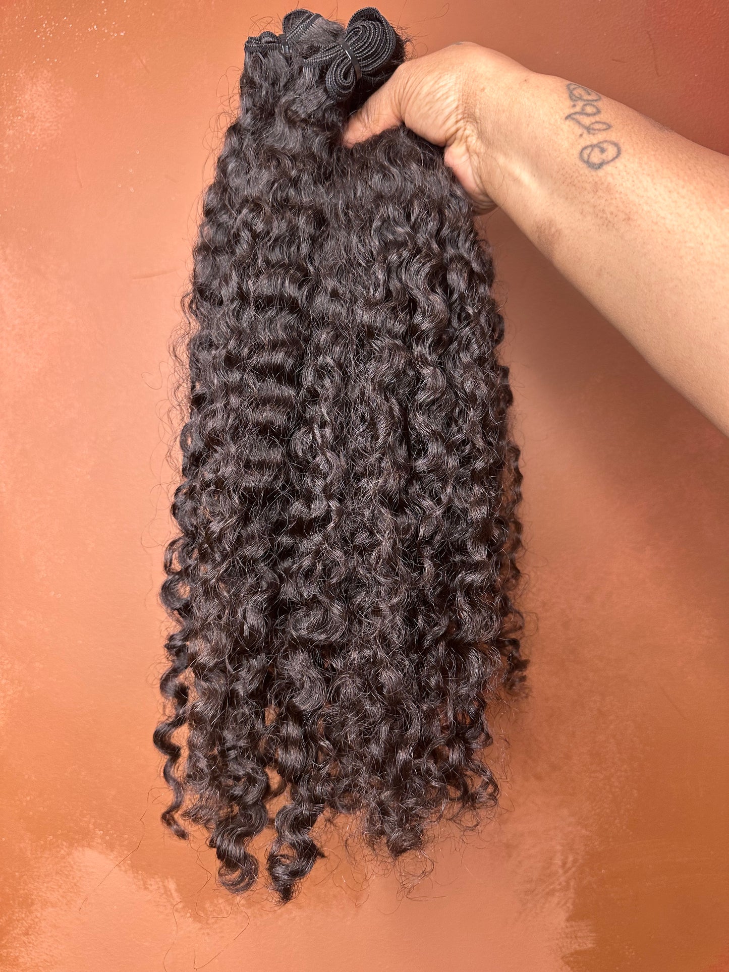Raw Burmese Curl
