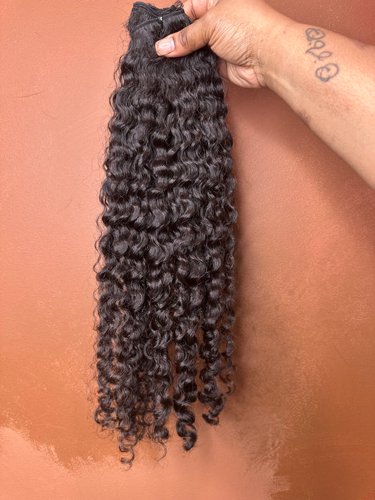 Raw Burmese Curl